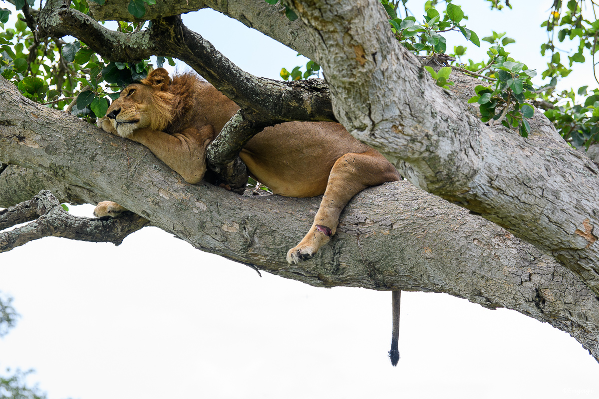 Uganda%201575.jpg