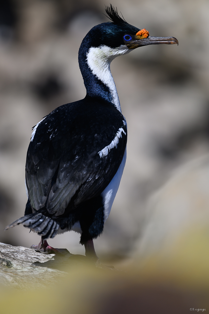 DSC_9624.jpg