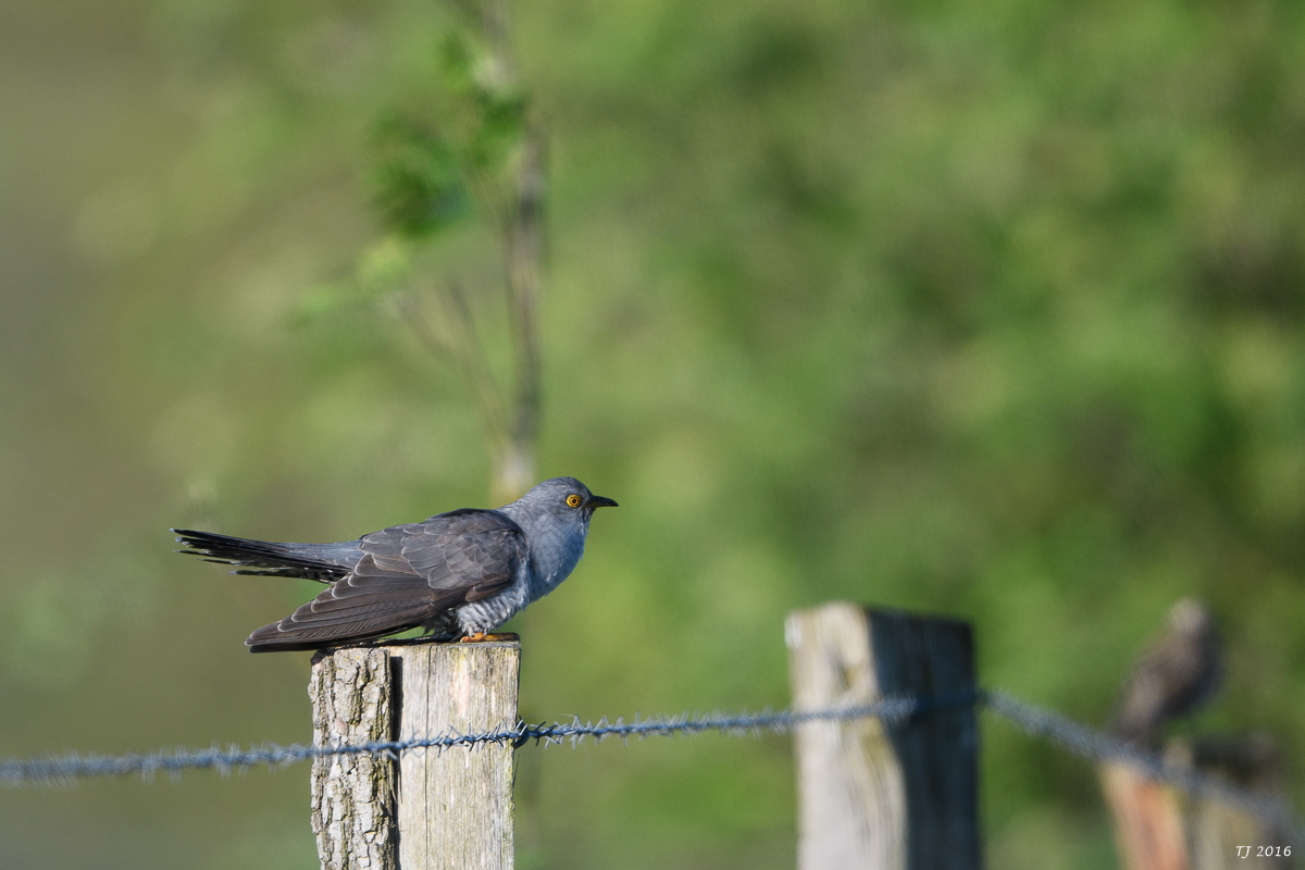 DSC_0822.jpg