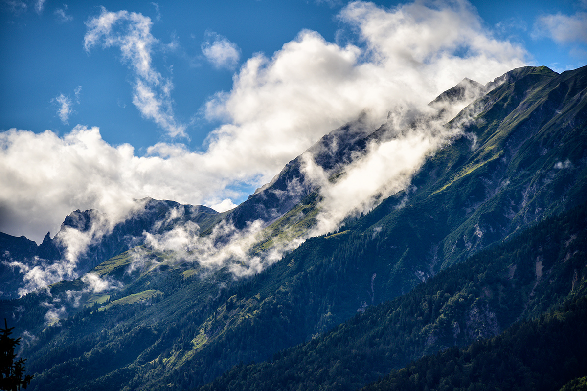 20200902_NZ7_0015NF.jpg
