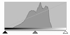 histogramm_amazonas_morgendunst.jpg