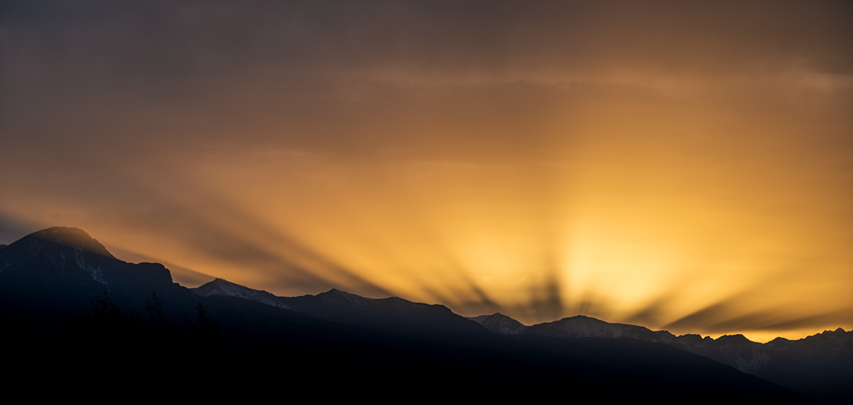 20201108_NZ7_1586wNF.jpg