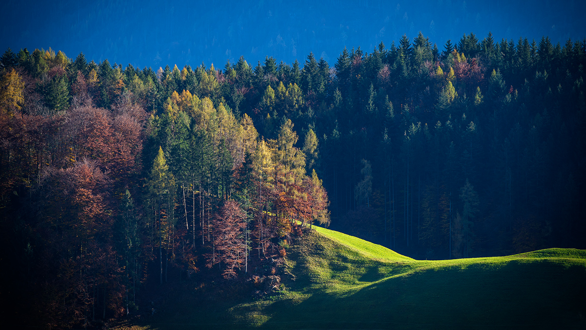 20201107_NZ7_1382wNF.jpg
