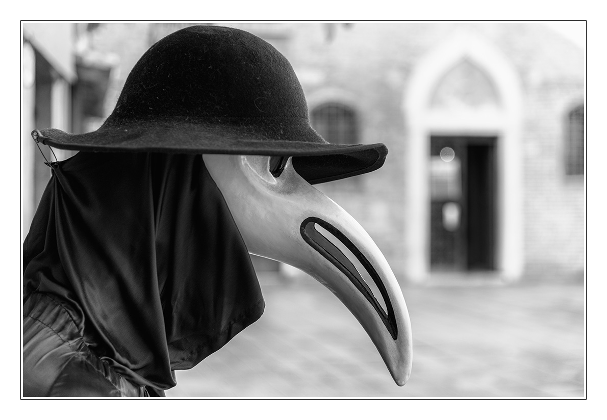 20170117_D810_1226NF.jpg