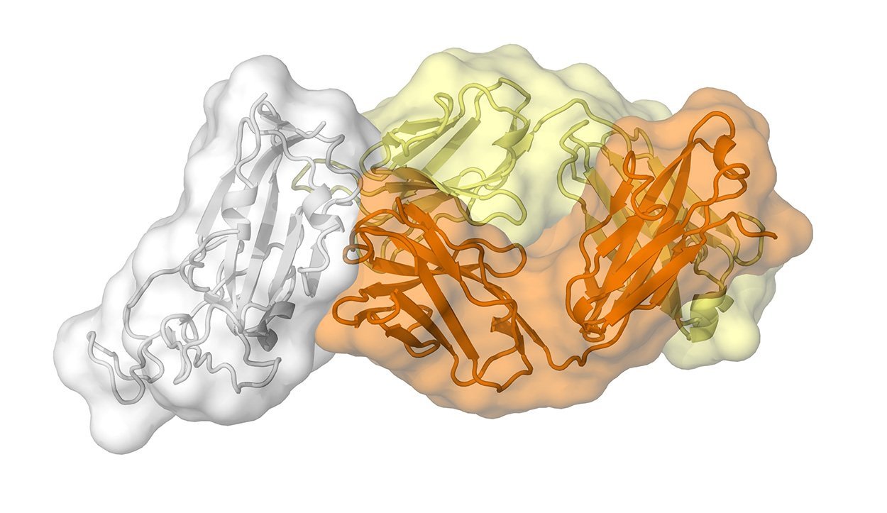 www.wissenschaft.de