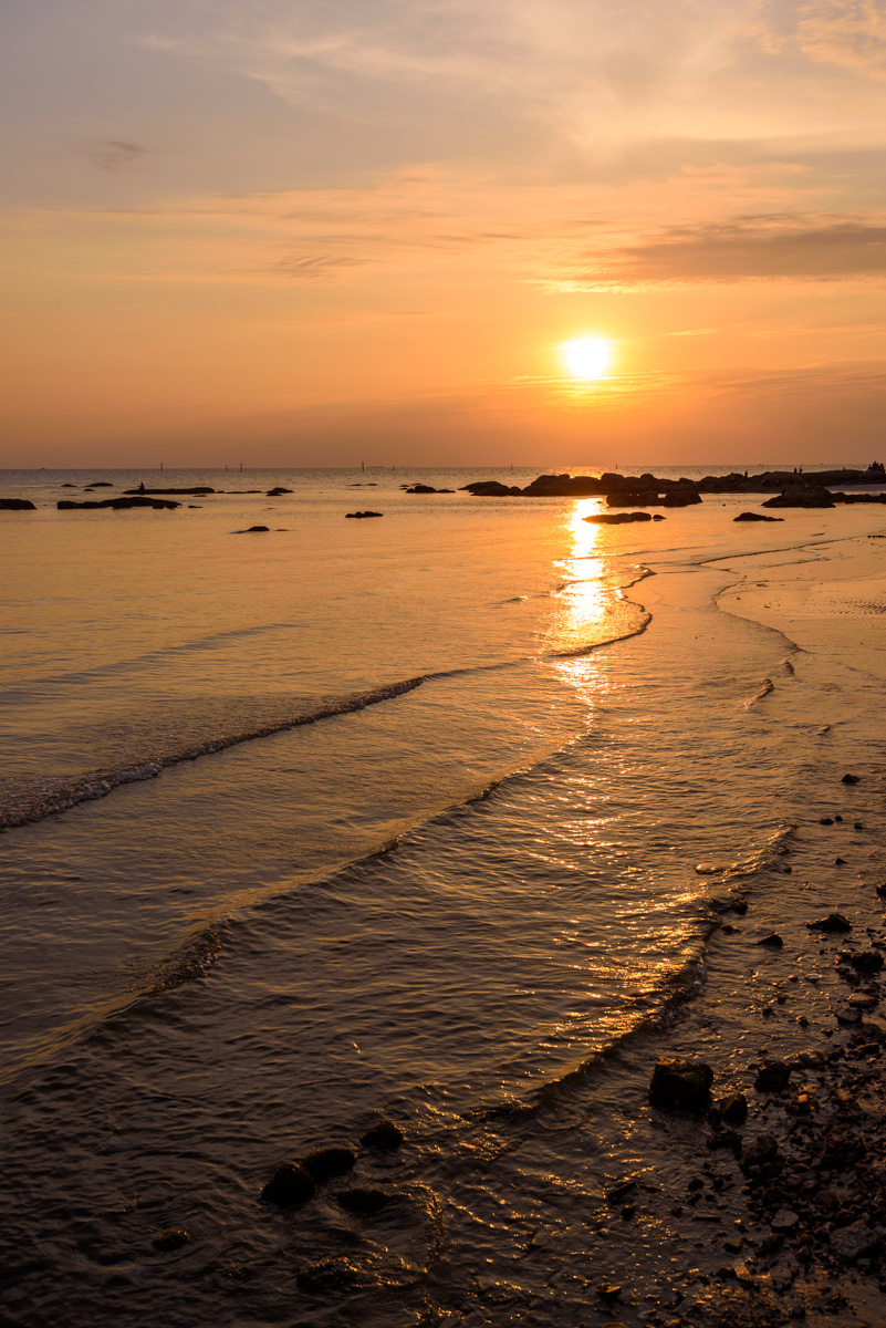 DSC_2848.jpg