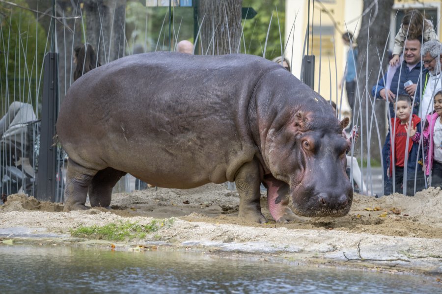 zoovienna24_73.jpg