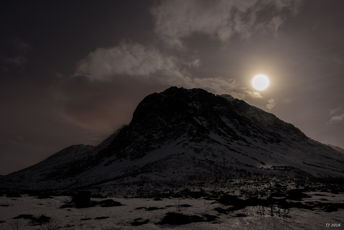 DSC_2896.jpg