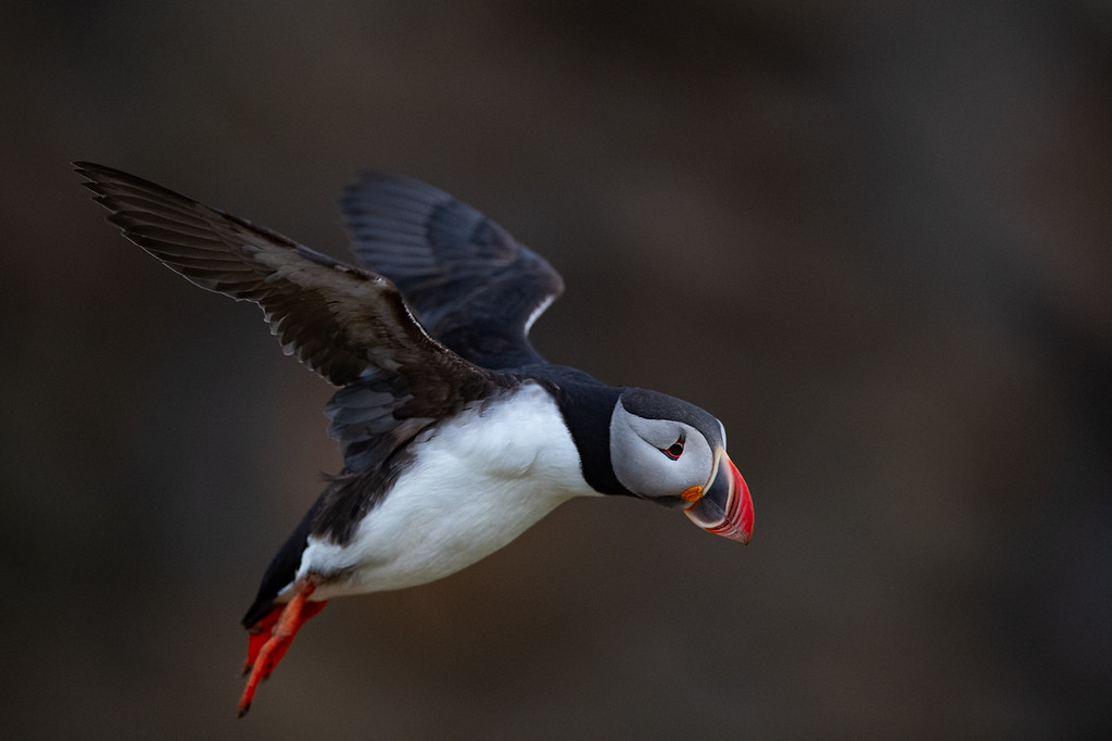 DSC_8018-XL.jpg