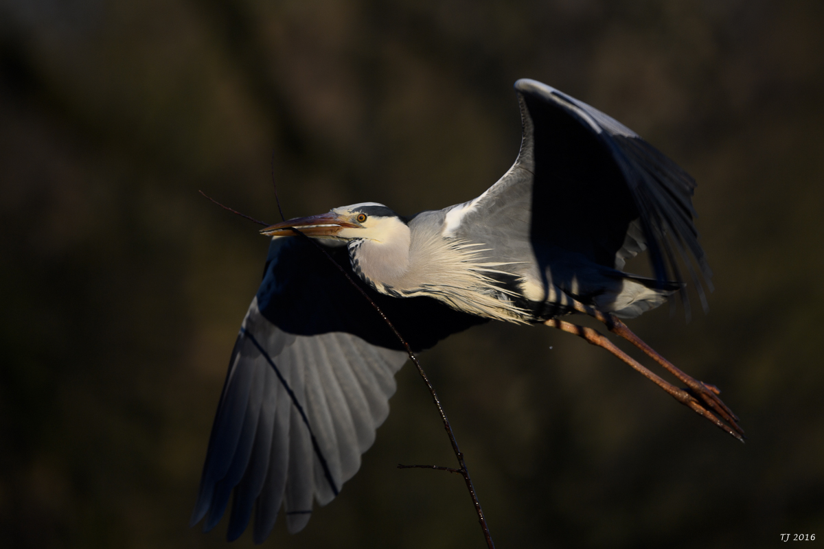 DSC_0292.jpg