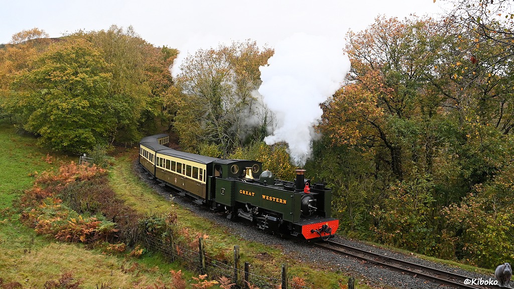 Das Bild zeigt eine dunkelgrüne Tenderdampflok mit roter Pufferbohle und vier braun-beigen Personenwagen in einer Kurve an einer Wiese. Im Hintergrund sind hohe Laubbäume mit gelblichen Blättern.