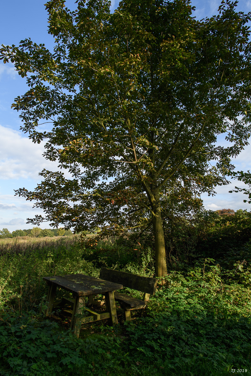 DSC_7312.jpg