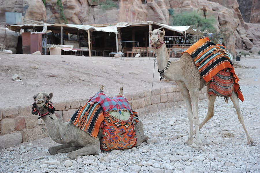 jordanien13_201.jpg