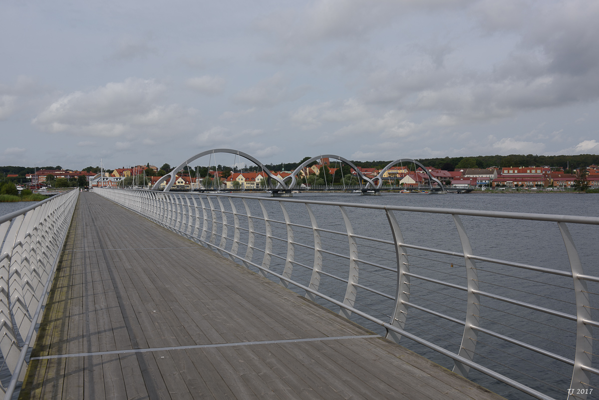DSC_7665.jpg