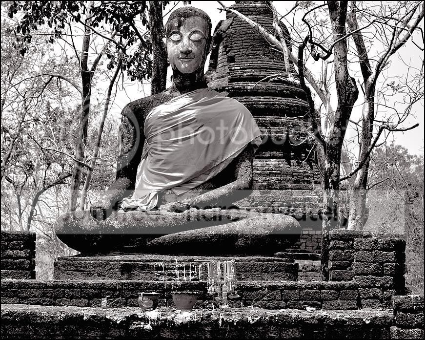 x-compSukoSW4rahmen.jpg