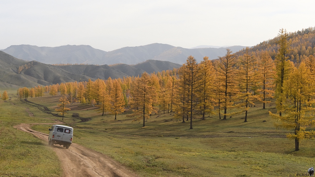 UAZ mit Lärchen