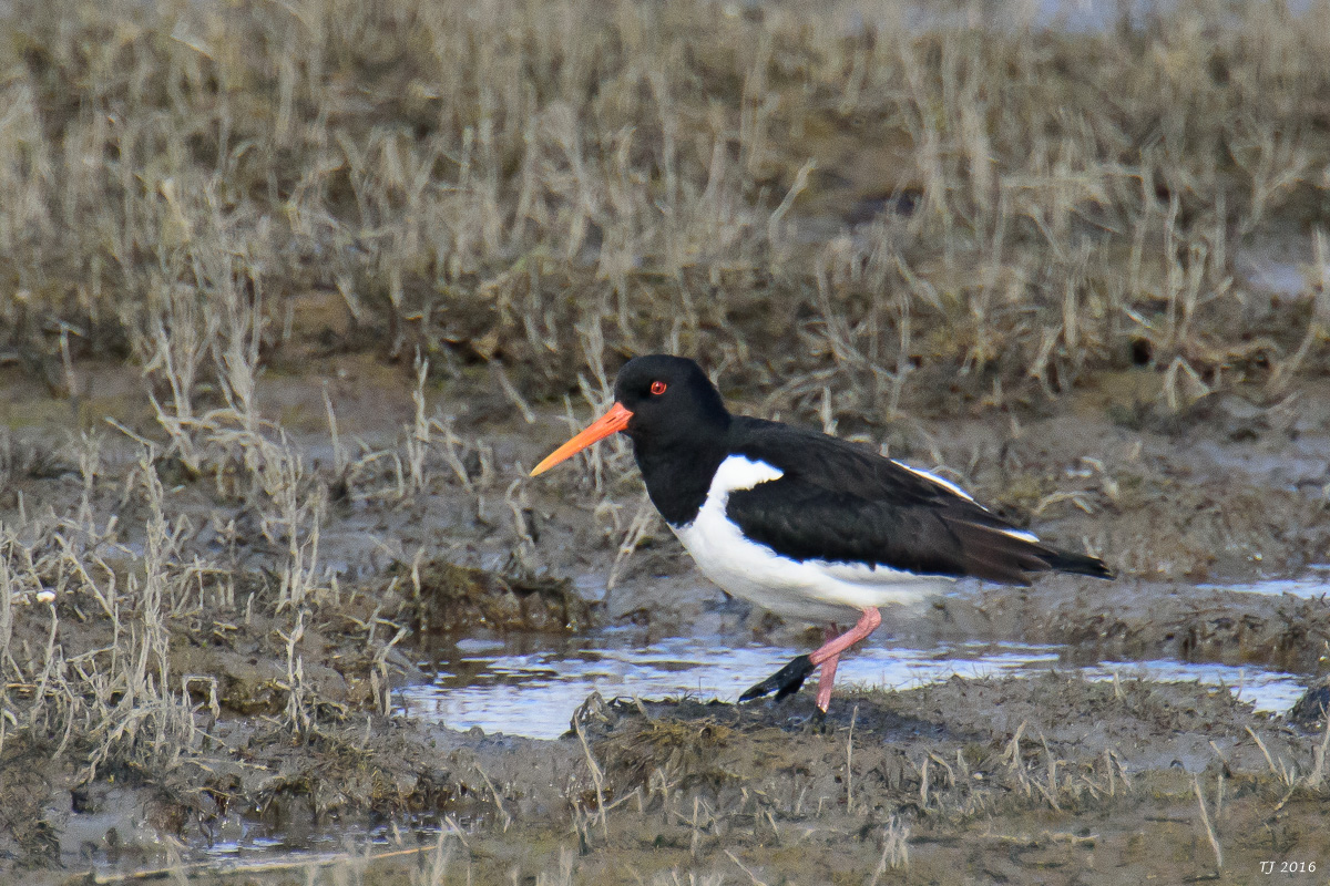 DSC_5155.jpg