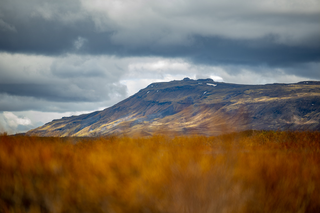 DSC_1211-XL.jpg