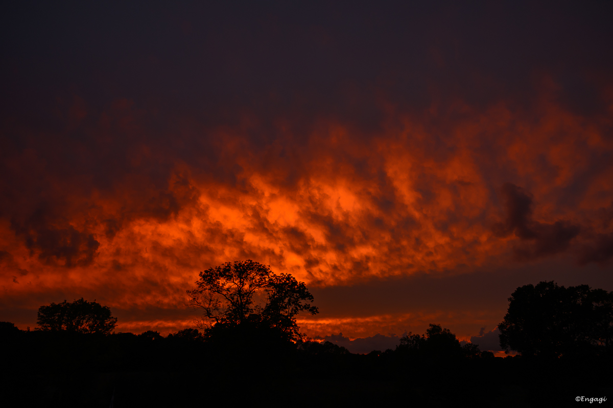 DSC_5272.jpg