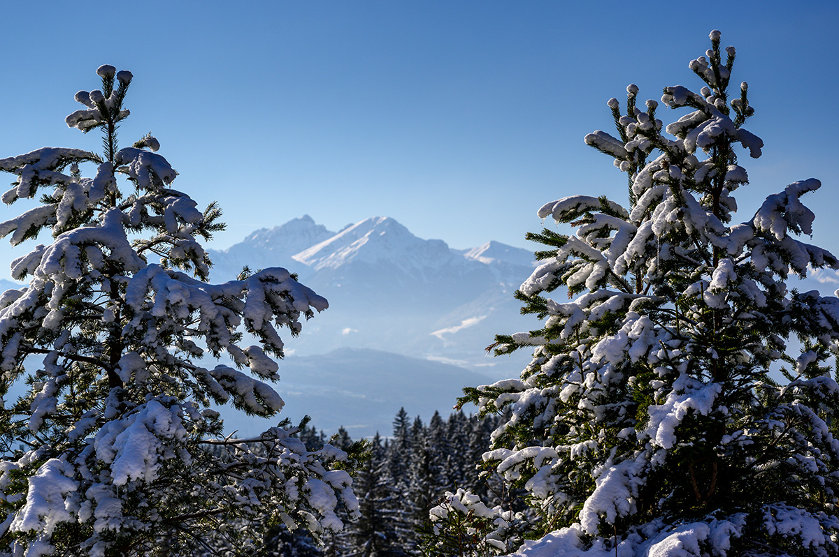 20191229_NZ6_0566NF.jpg