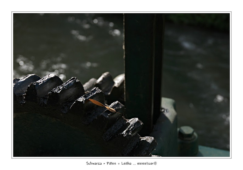 s_DSC_0425_lzn.jpg