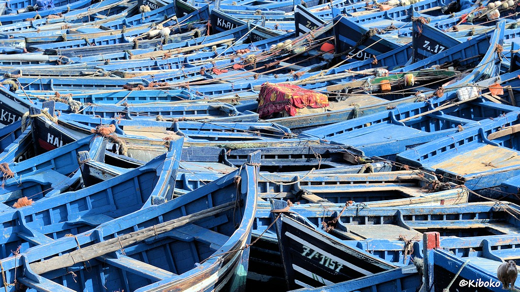 Das Bild zeigt ein Wimmelbild voller hellblauer, kleiner Fischerboote. Die Boote liegen dicht an dicht. Die hohen Bugspitzen sind mitenander verzahnt. Das Wasser ist nicht zu sehen. In einem Boot in der Mitte steth ein größerer Kasten, der durch eine rote Decke geschützt ist.
