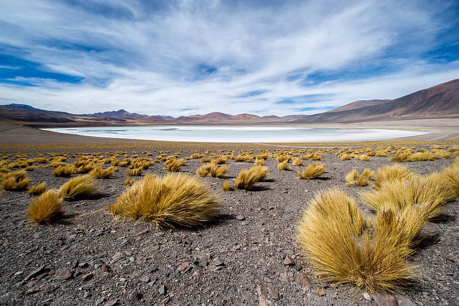 atacama16_113.jpg