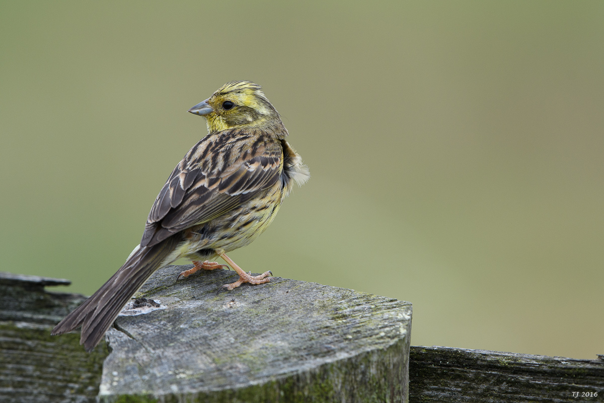 DSC_1424.jpg