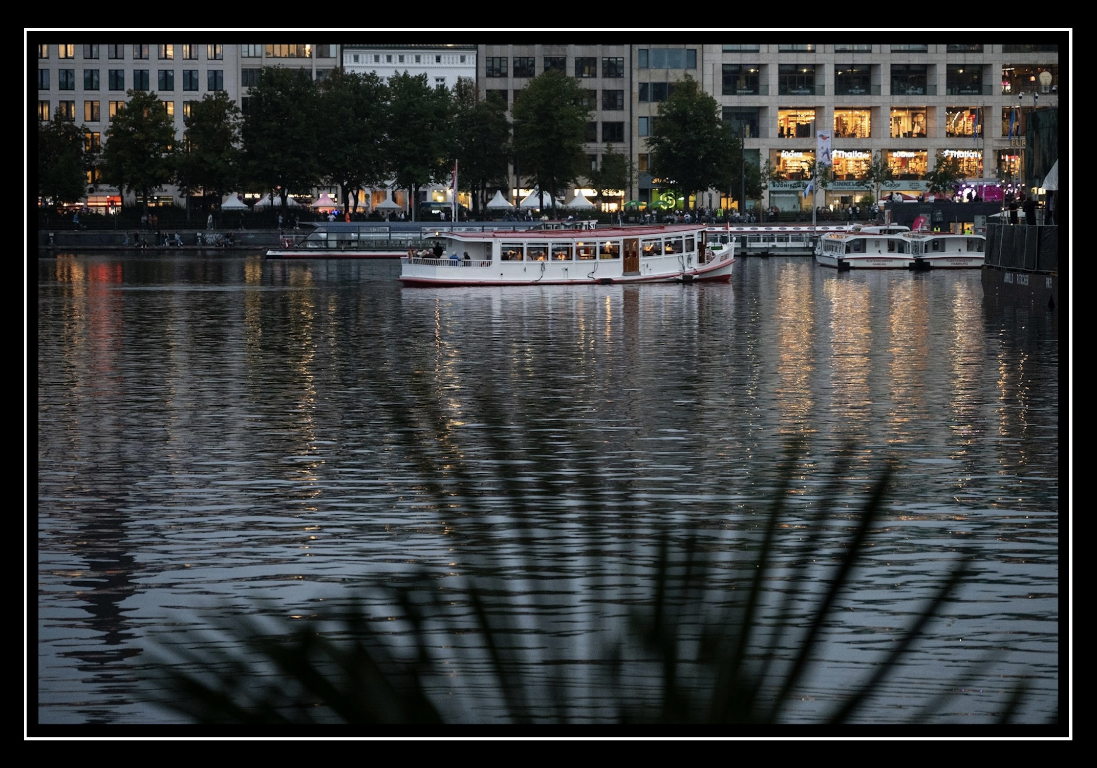 IMG_5313.jpg