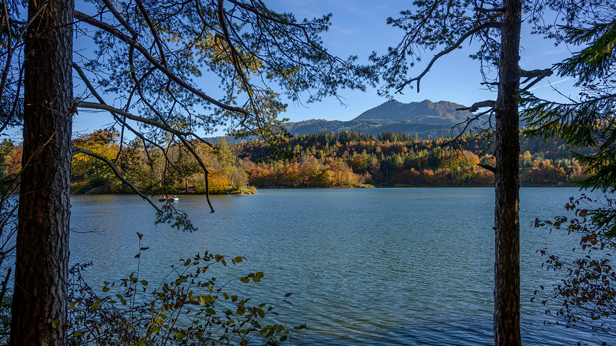 20211031_NZ7_2542wNF.jpg