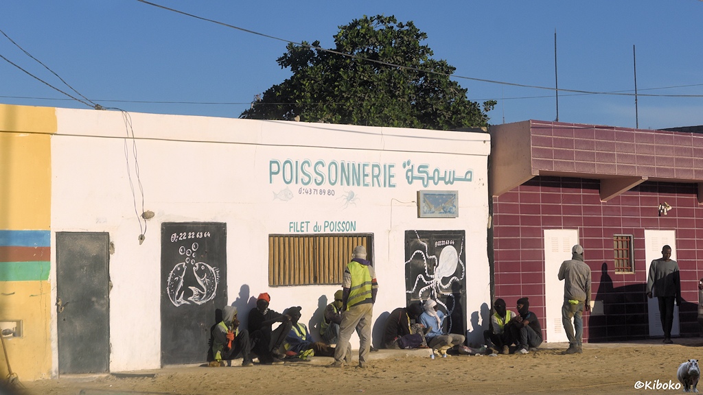 Das Bild zeigt ein weißes, einstöckiges Gebäude mit drei schwarzen Türen und einen länglichen Fenster. An zwei Türen sind tanzende Fische und ein Oktopus angemalt. In blauer Schrift steht Poissonerie an der Fassade. Davor stehen und hocken 11 Männer mit Wollmützen. Einige tragen gelbe Warnwesten.