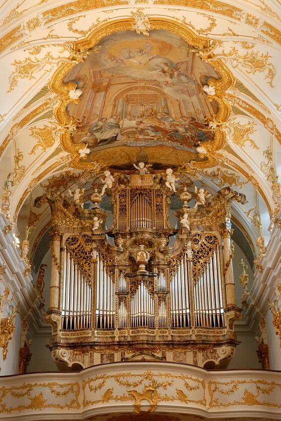nff_regorgel_022424.jpg