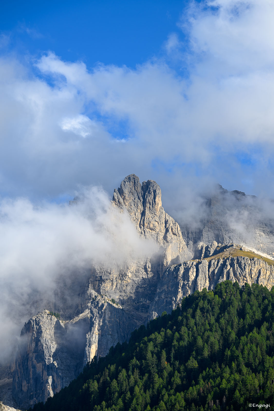 DSC_8839.jpg