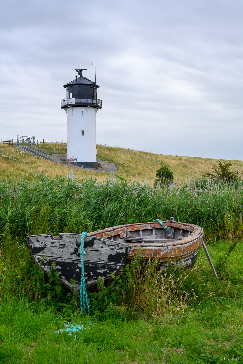 DSC_4269.jpg