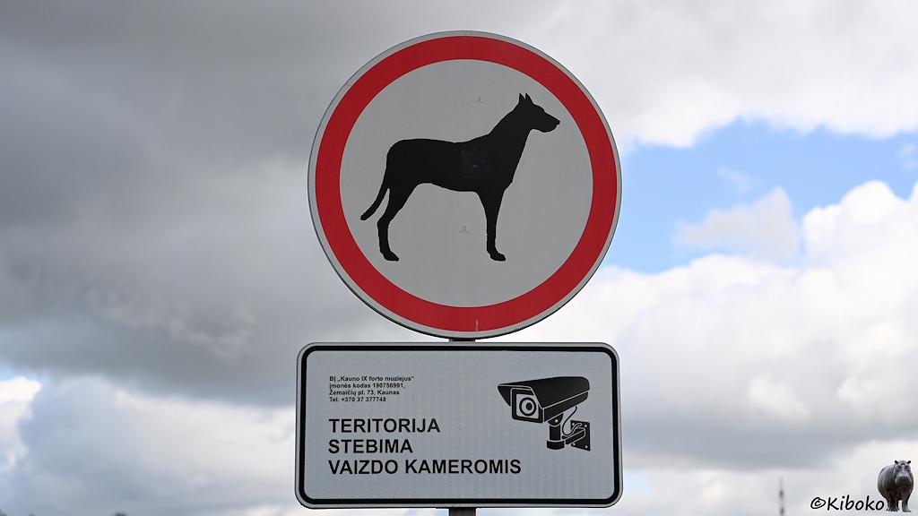 Das Bild zeigt ein rundes Schild mit rotem Rand. Darauf ist ein großer schwarzer Hund auf weißem Grund. Darunter ist ein rechteckiges Zusatzschild mit einer Kamera und dem Text: Teritorija Stebima Vaizdo Kameromis.