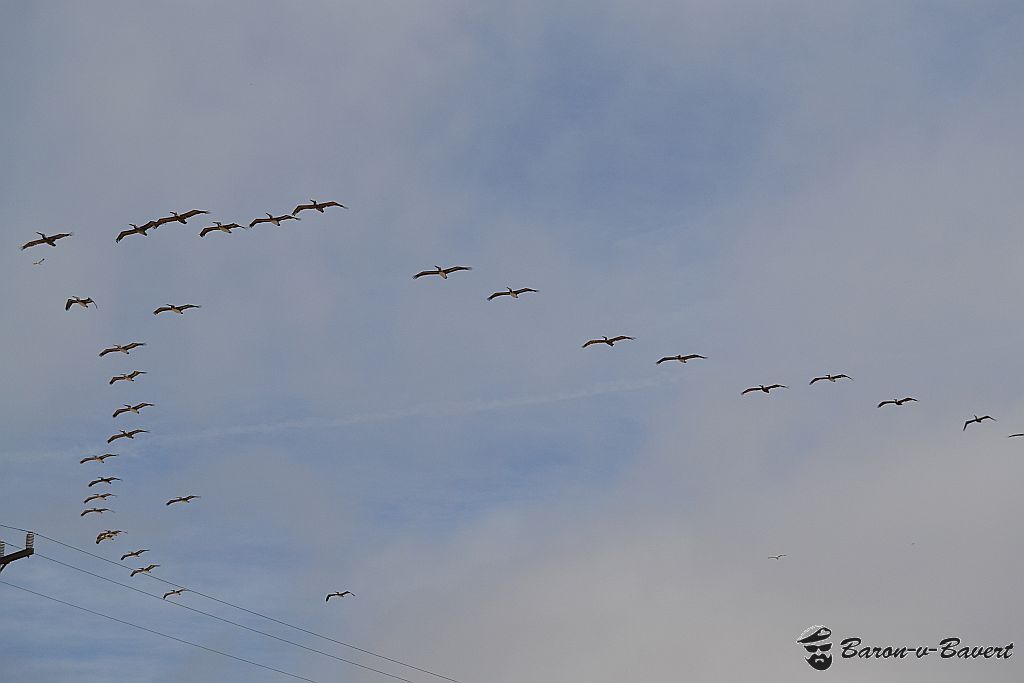 14008346751_1c5f69fa4f_b.jpg
