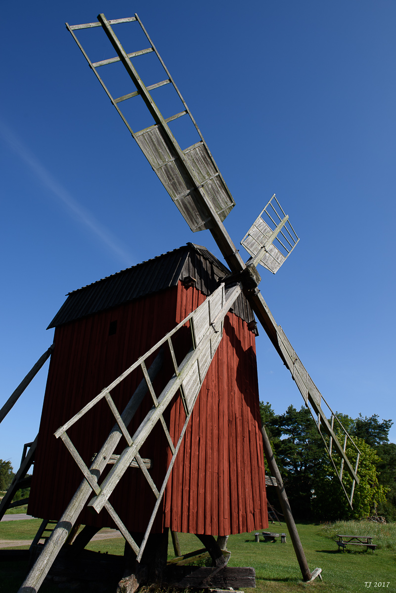 DSC_7832.jpg