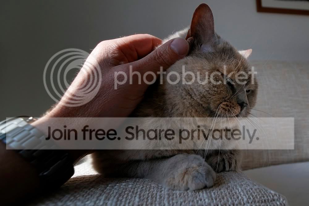 cat09_0001.jpg