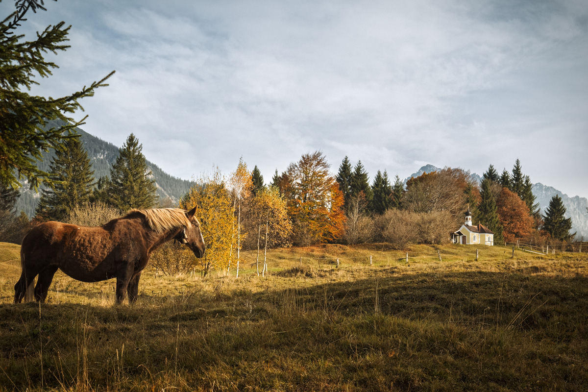 20171021-P1100283_DxO-Bearbeitet-2.jpg