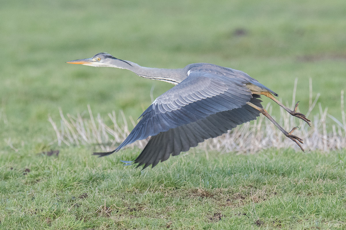 DSC_8465.jpg