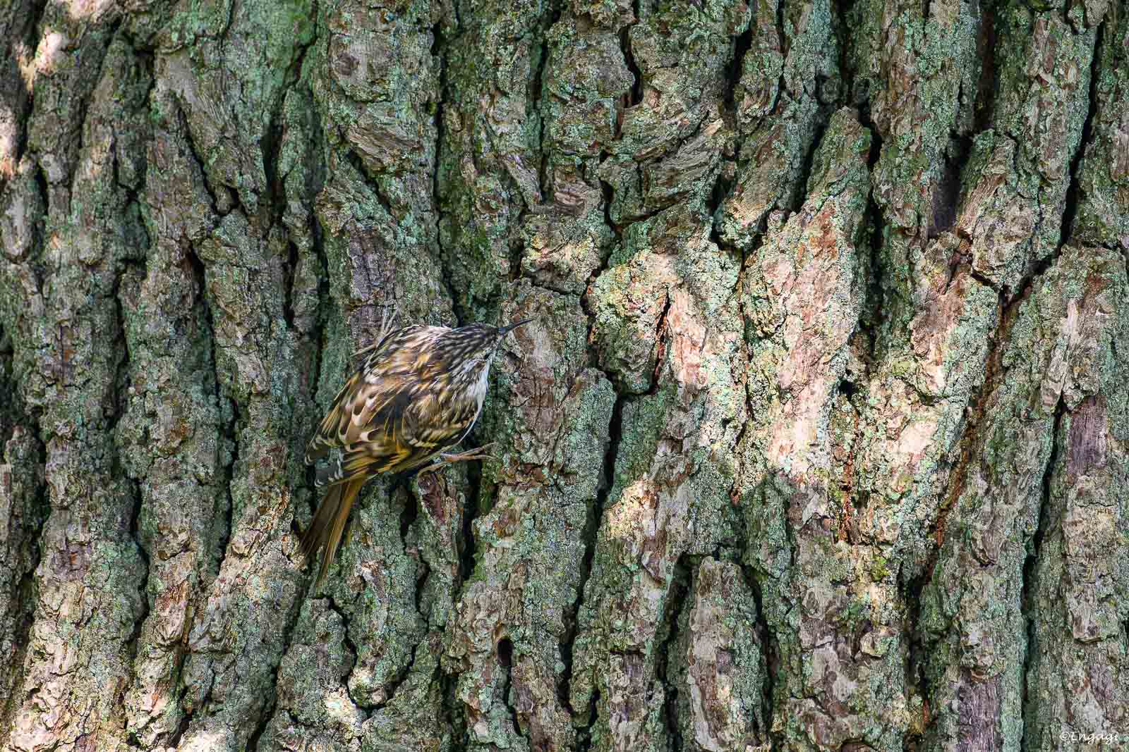 DSC_5002.jpg