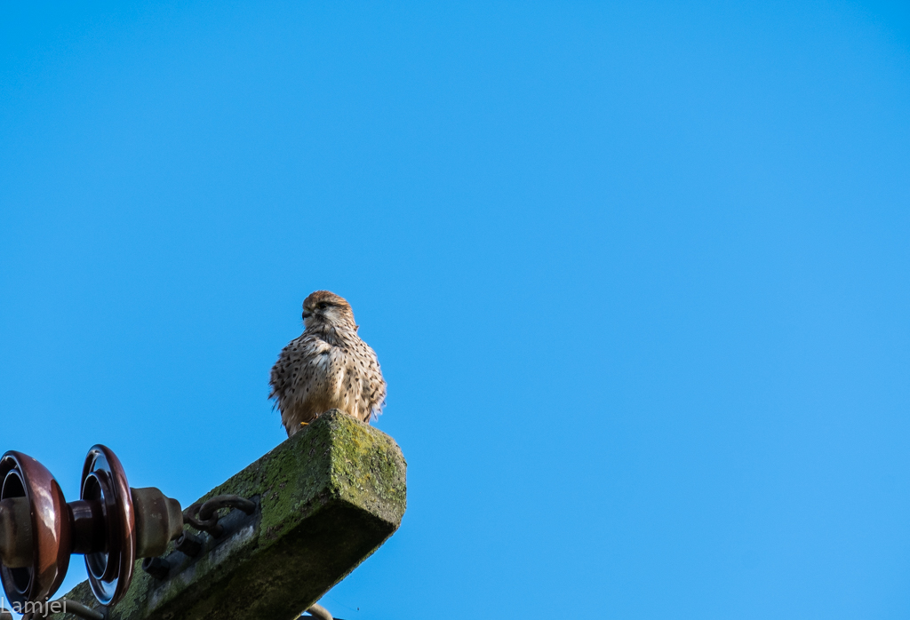 XT-20_82-2.jpg