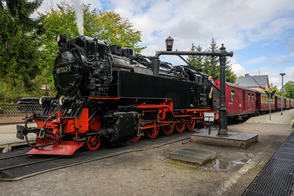42101198qv.jpg
