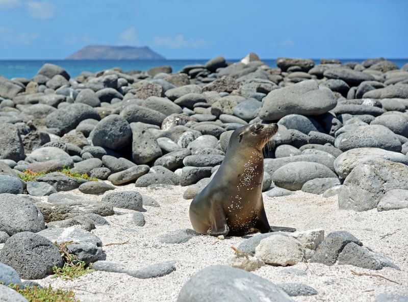 d75_8015.jpg