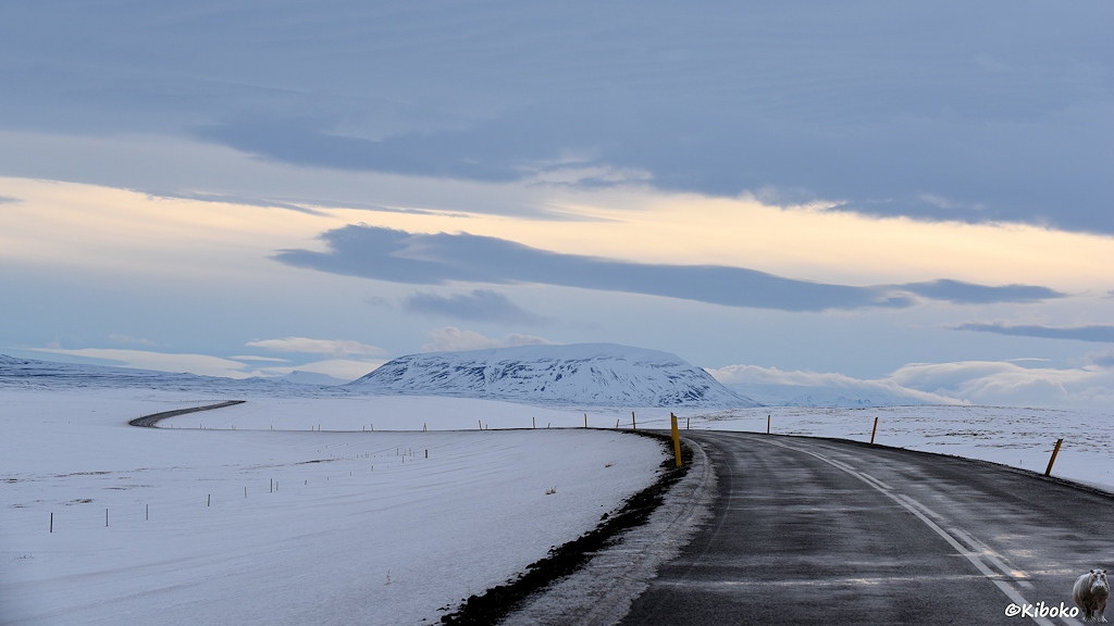 Eine schwarze Teestraße führt durch in geschwungenen Bögen durch eine baumlose Winterlandschaft.