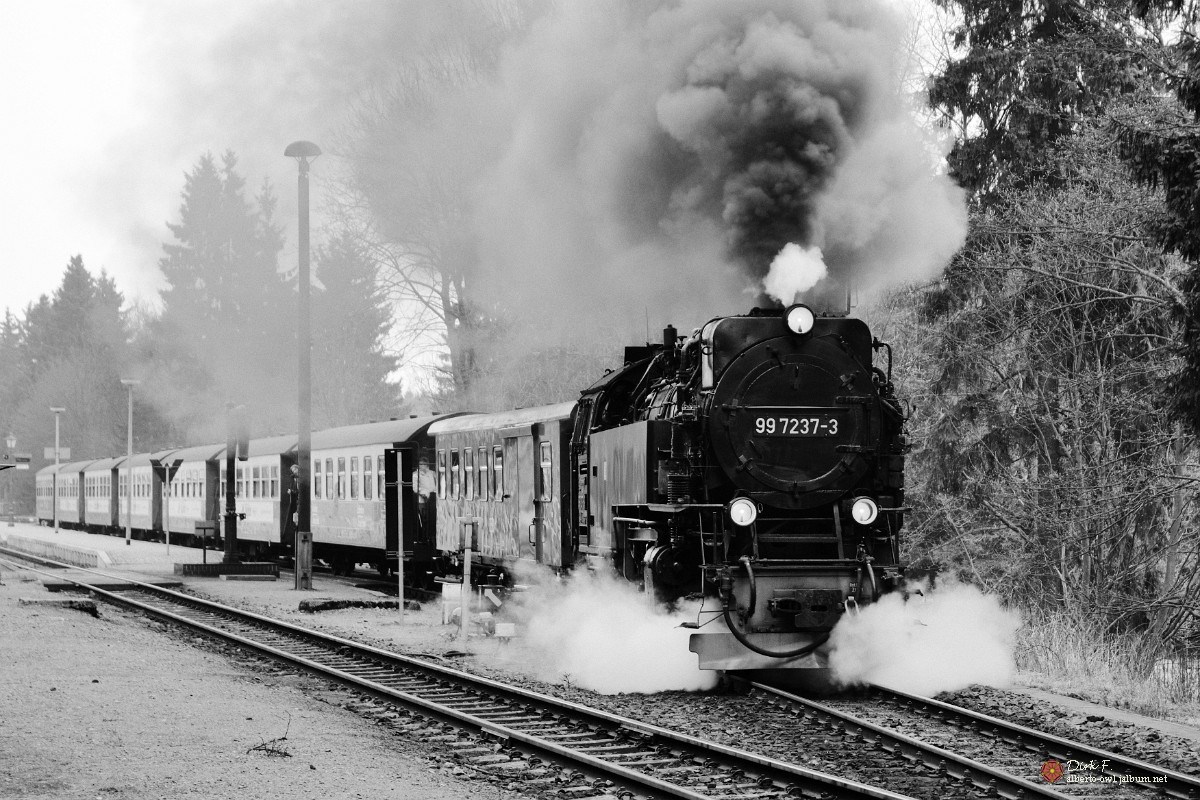 D3C_8534sw.jpg