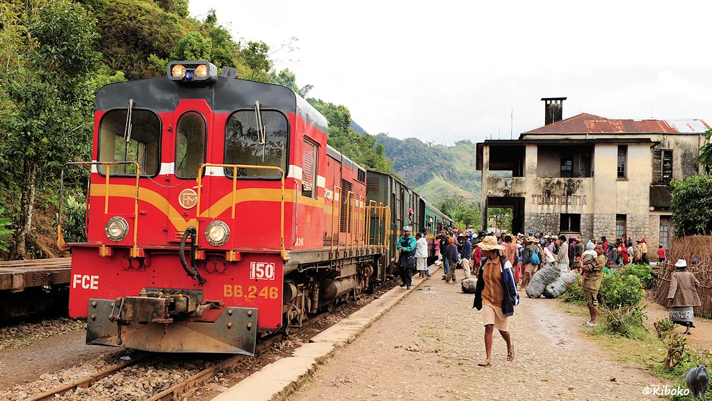 Das Bild zeigt den Zug mit der roten Diesellok an der Bahnsteigkante. Der Bahnsteig ist ungefestigt. Auf dem Bahnsteig sind viele Menschen.