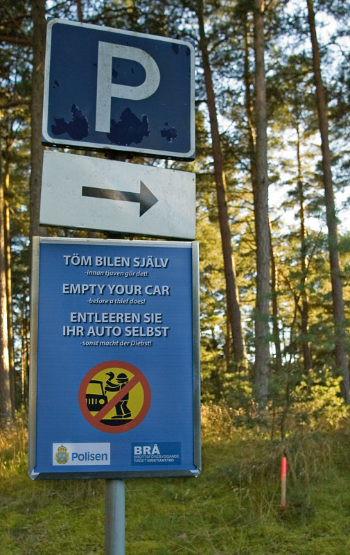 diebst.jpg