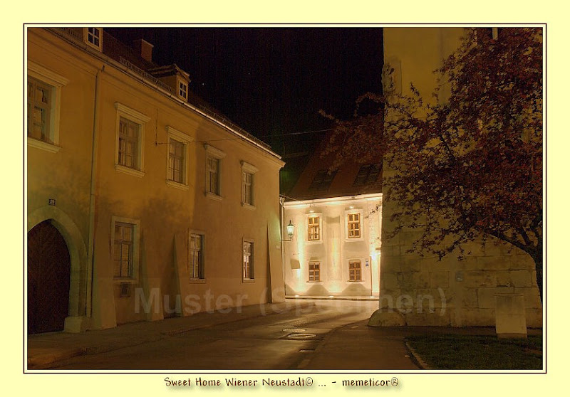 s_s_DomherrnHaus.jpg