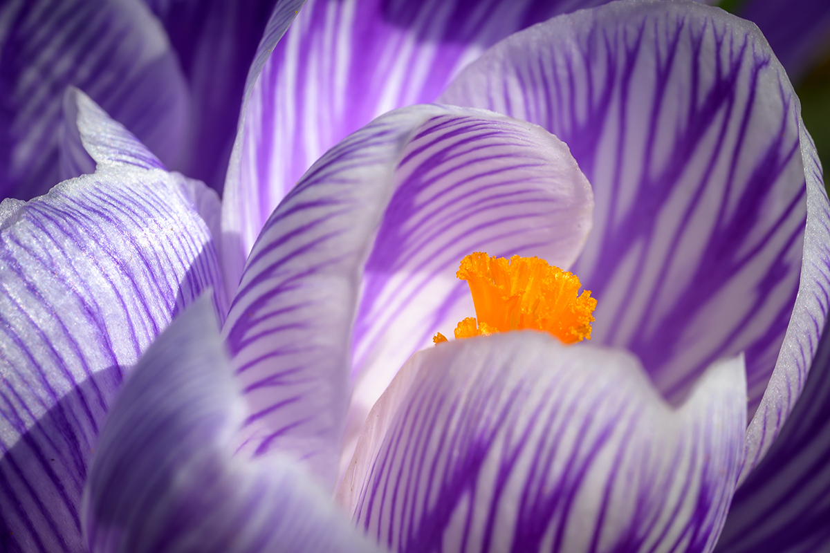 20220320_NZ7_1318NF.jpg